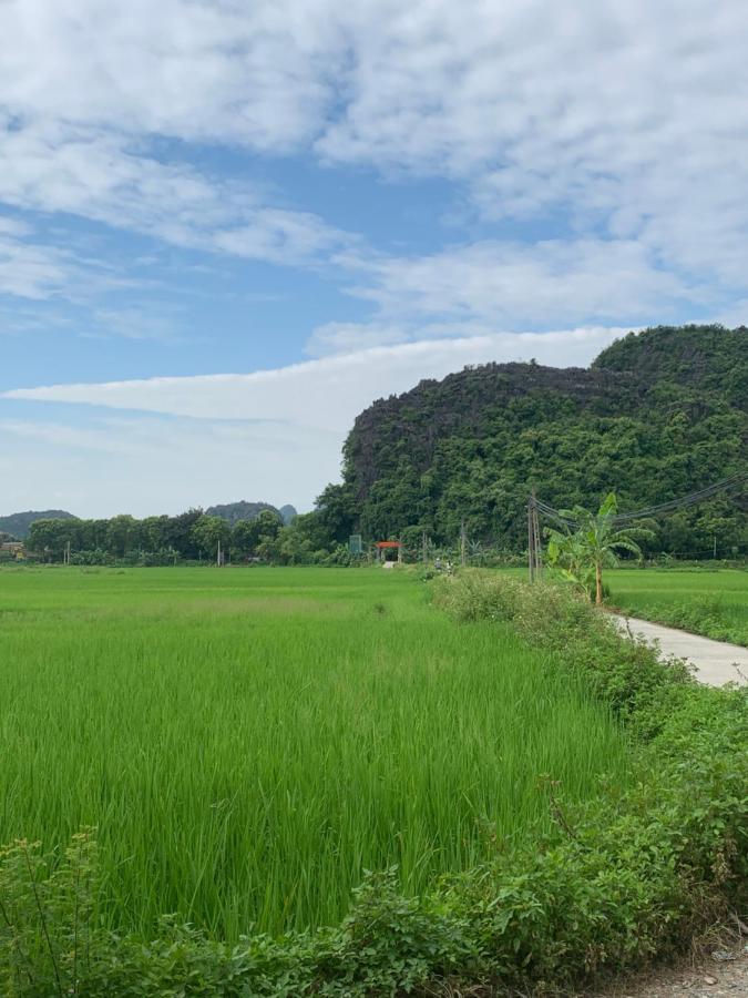 Tam Coc Wonderland Bungalow Ninh Binh Exterior photo