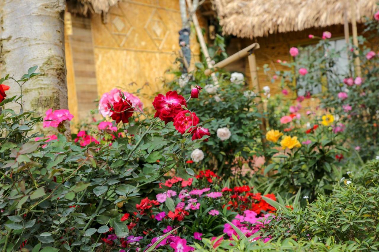 Tam Coc Wonderland Bungalow Ninh Binh Exterior photo